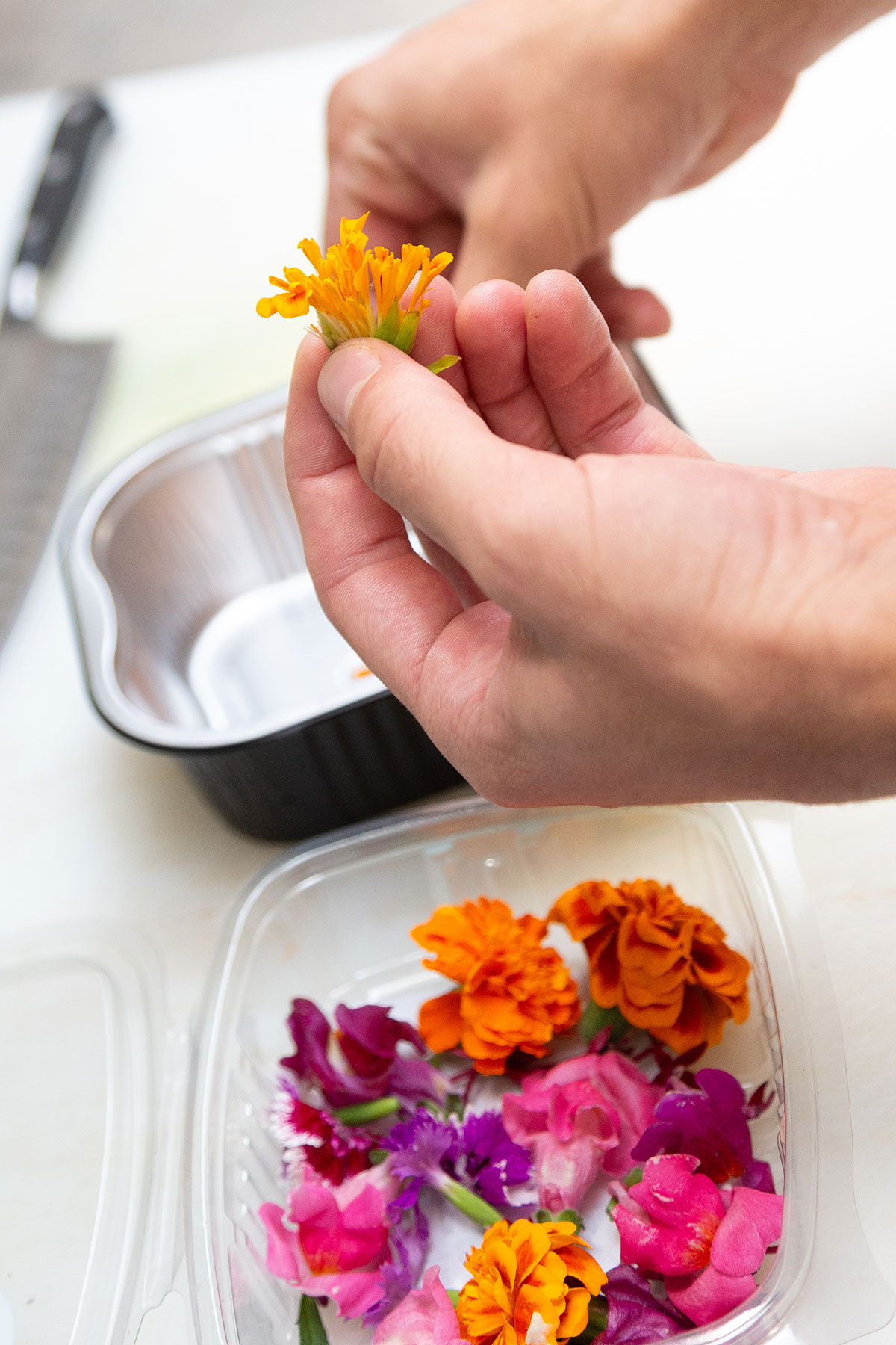 Charcutier-traiteur en action